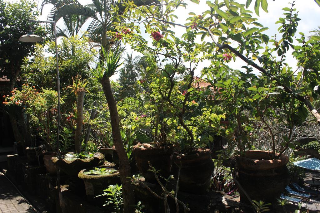 Raditia Homestay Ubud Exterior foto